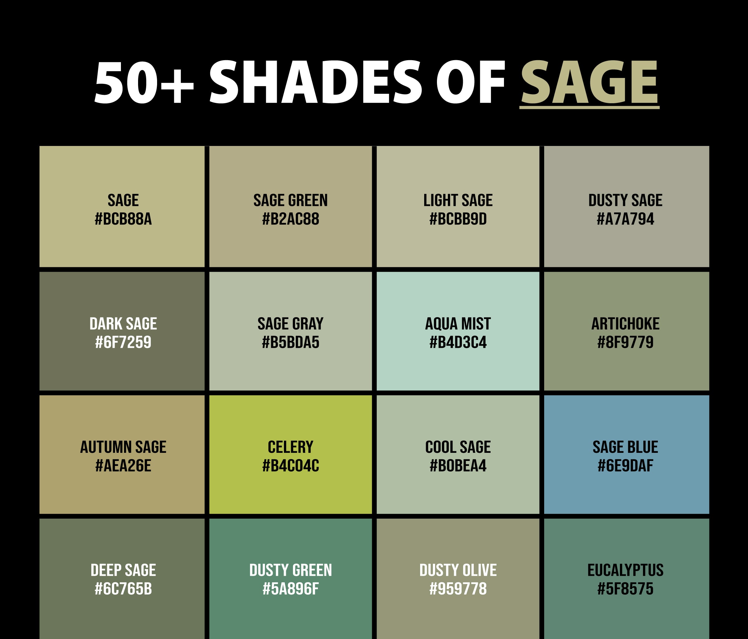 50+ Shades of Sage Color (Names, HEX, RGB, & CMYK Codes