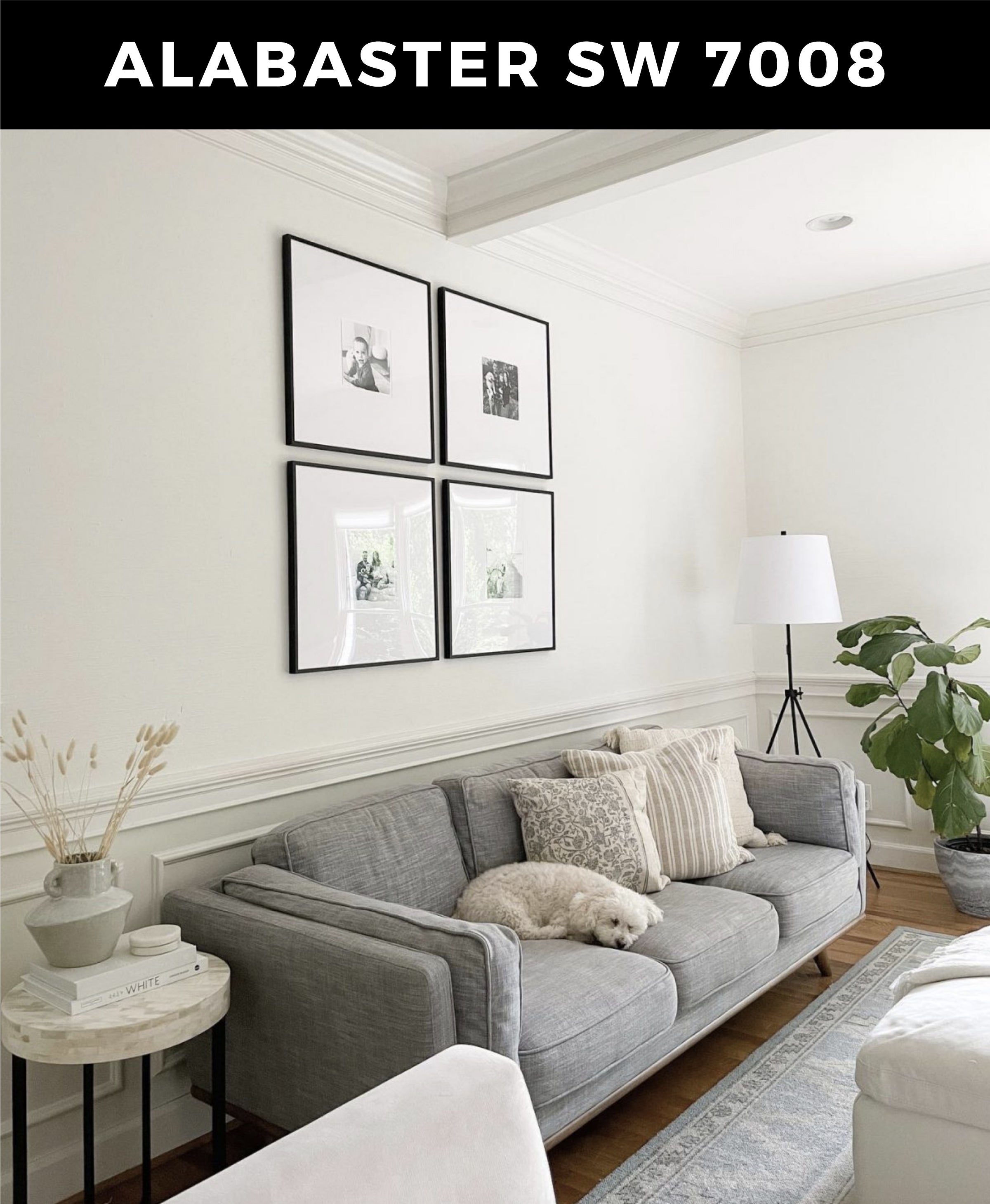 5 Awesome Ways to Use Sherwin Williams' Alabaster White in Living Room ...