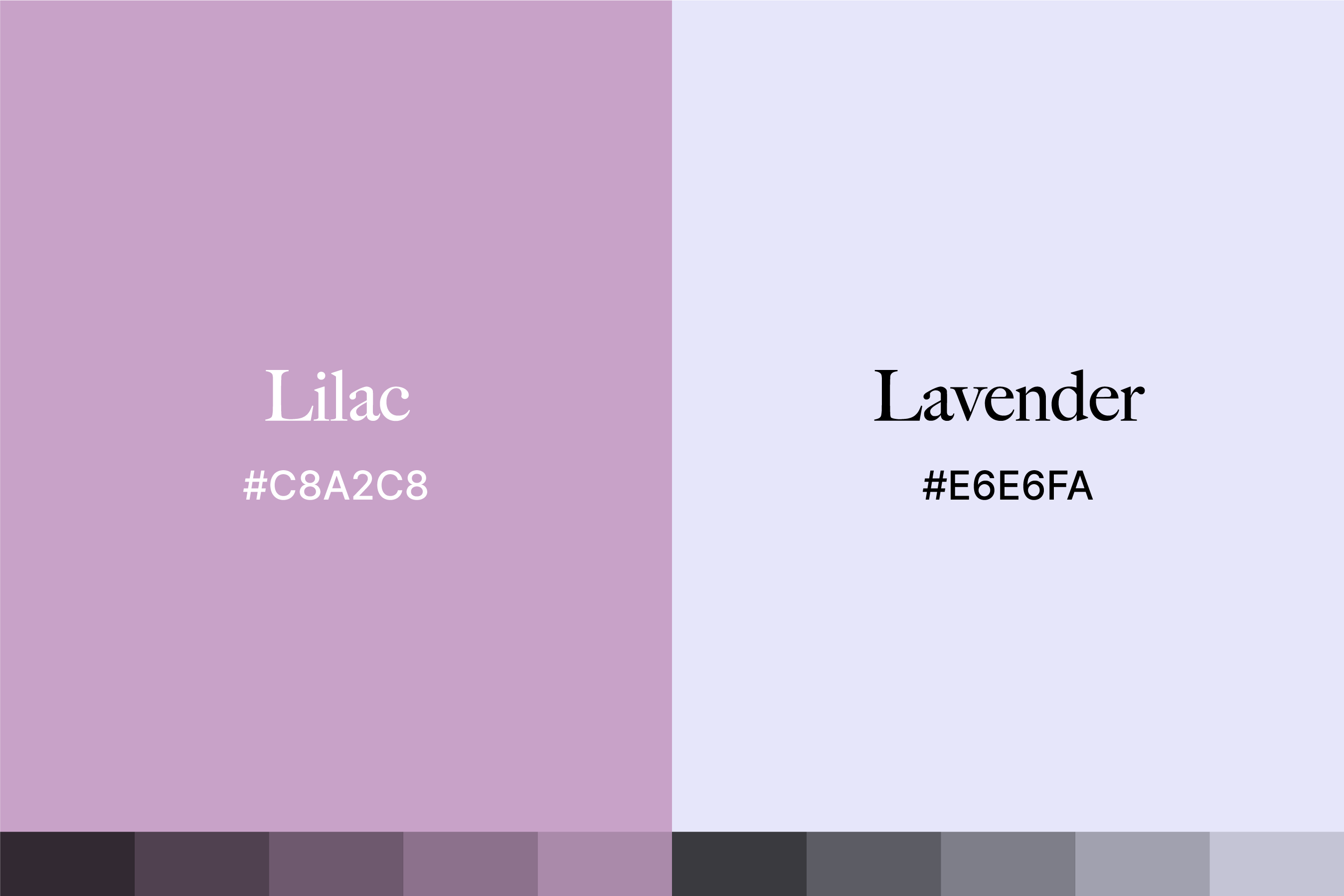 lavender color swatch