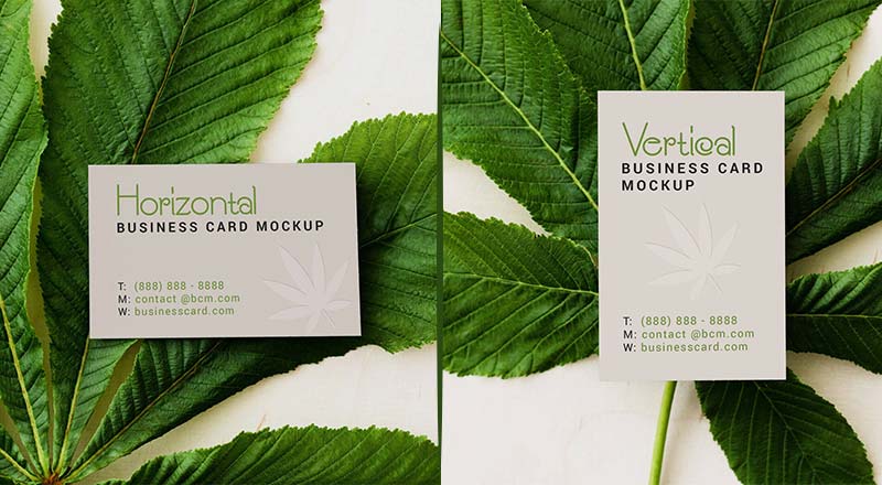 Free 2 Horizontal & Vertical Business Card Mockup Psd Set