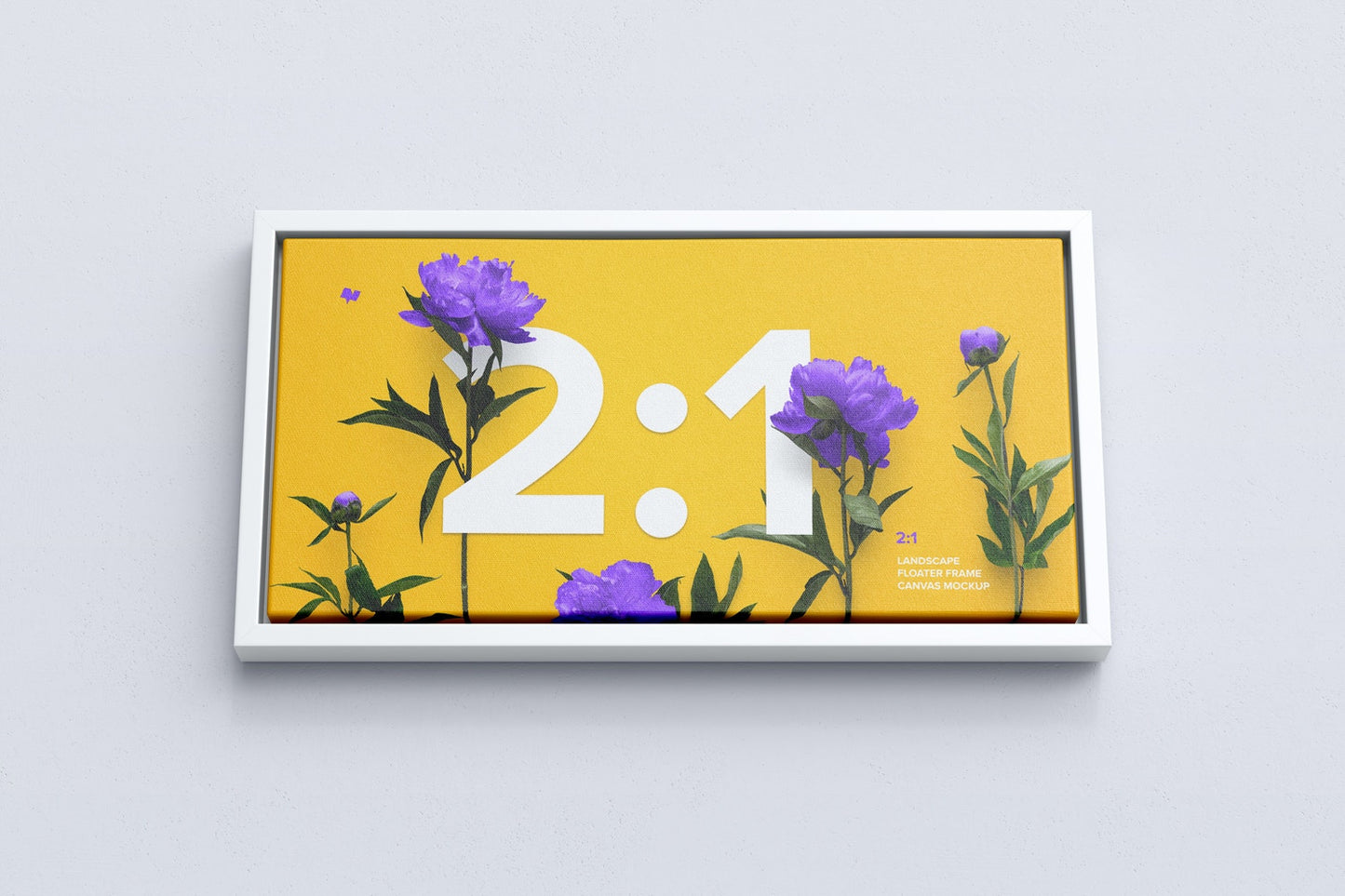 Free 2:1 Landscape Canvas Mockup In Floater Frame, Bottom Front View