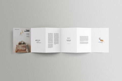Free 6 Fold Accordion Brochure Mockup