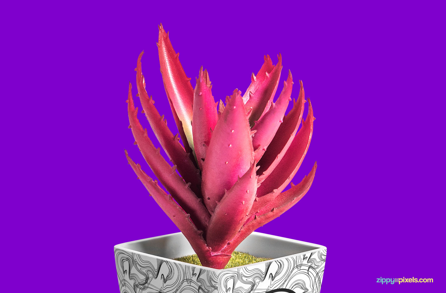 Free Plant Pot Mockup