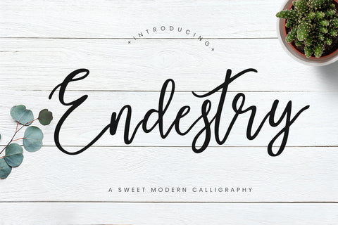 Free Endestry Modern Calligraphy Font