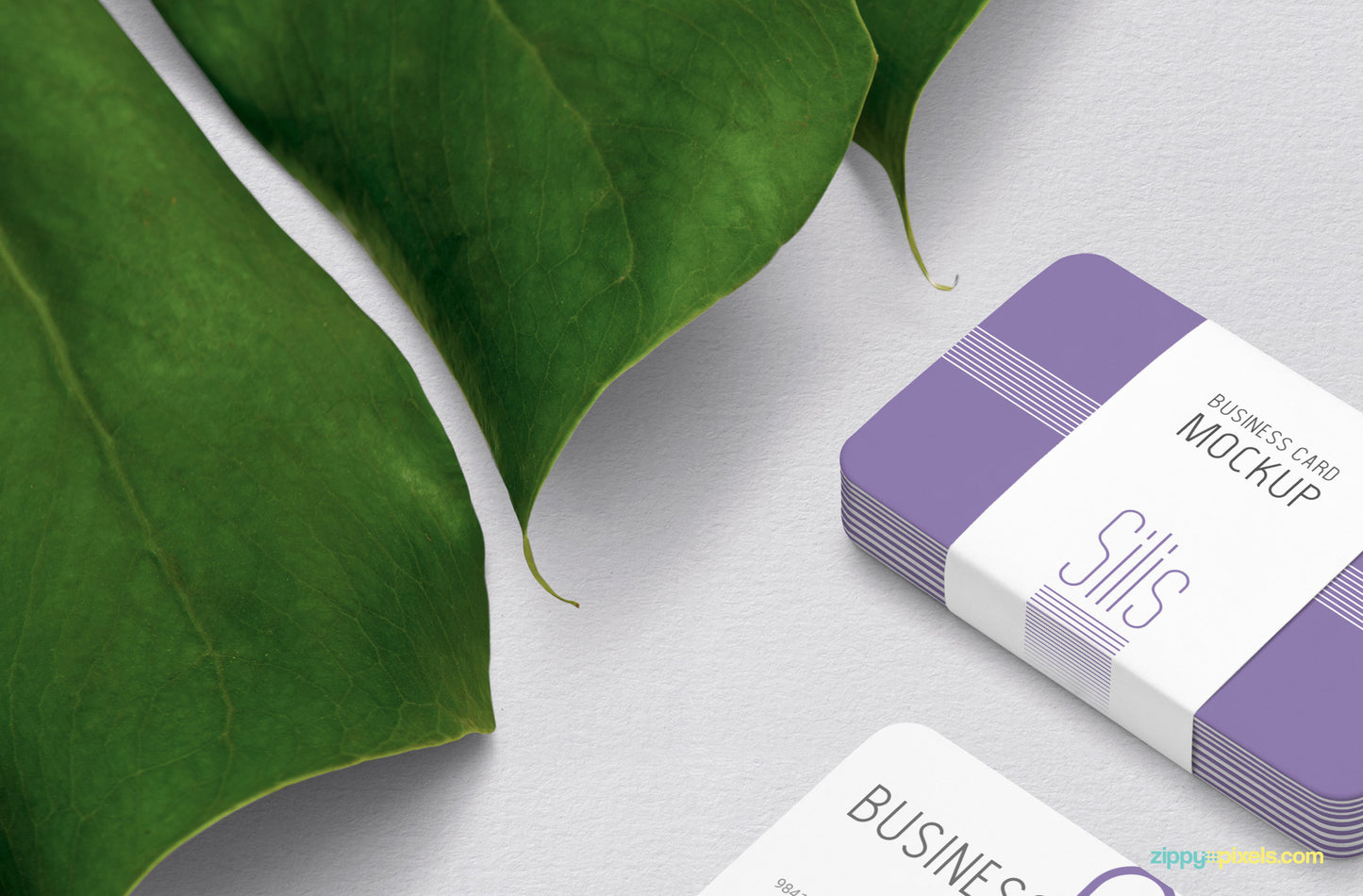 Free Business Card Mockup PSD