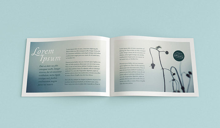 Free Clean Landscape Brochure Mockup Set of 4 Views