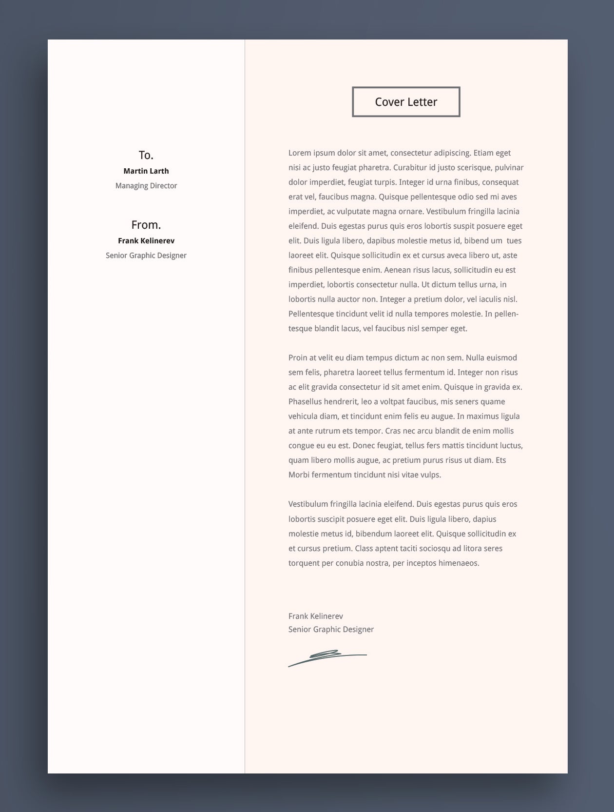 Free Professional Resume CV Template in Illustrator (AI) Format