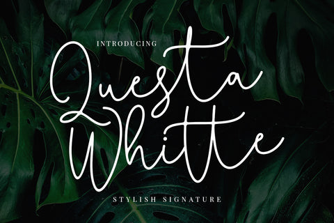 Questa Whitte - Free Handwritten Script Font