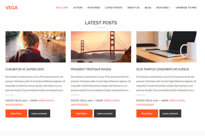 Vega - Free One Page WordPress Theme