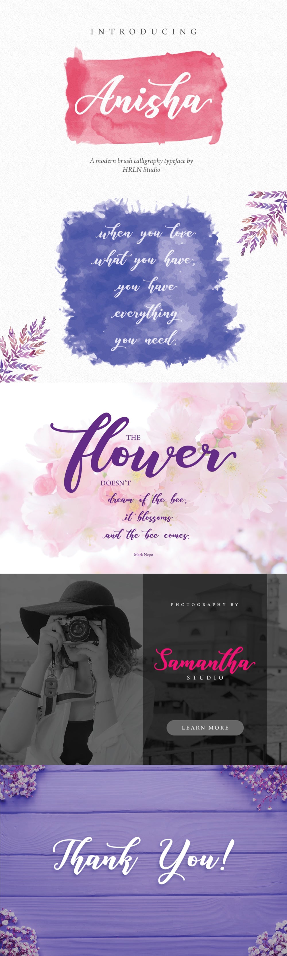Free ANISHA - SCRIPT FONT