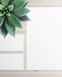 Free Branding – 2 Psd Mockups