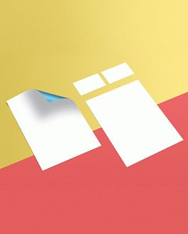 Free Branding Flyer & Business Card Mockup