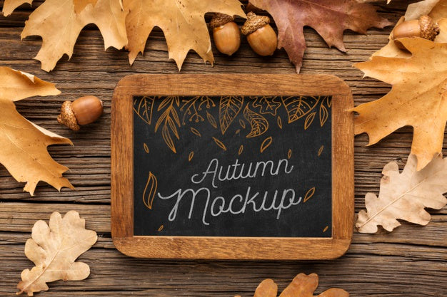 Free Chalkboard With Acorns Psd