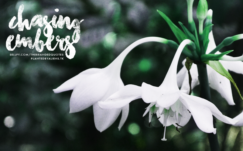 Chasing Embers Font - Free Download