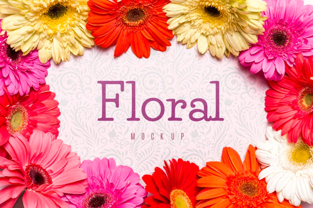 Free Circular Frame With Colorful Daisies Psd