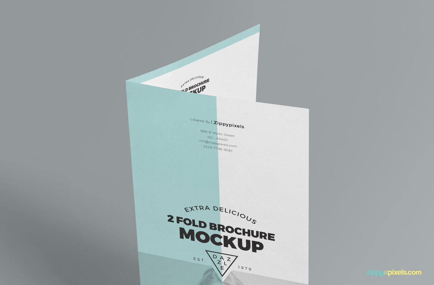 Free Slick 2 Fold Brochure Mockup PSD