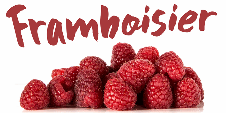 Free DK Framboisier Font