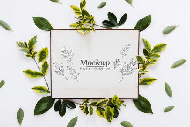 Free Flat Lay Plants And Card Arrangement Psd