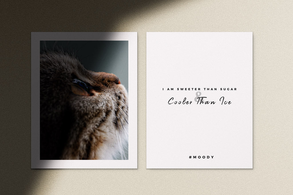 Free Giant Stationary Mockup Bundle PSD