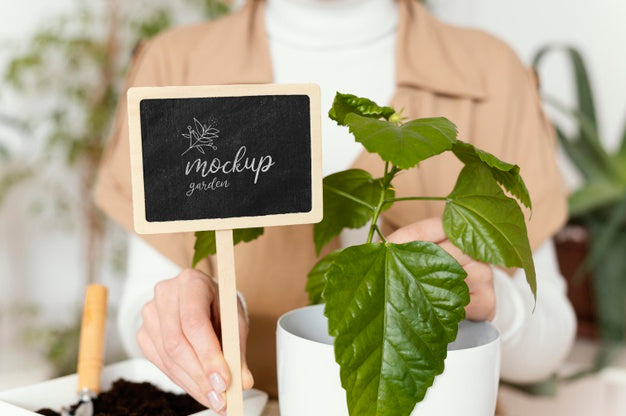 Free Indoor Vegetation Planting Mock-Up Psd