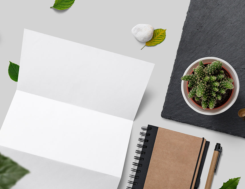 Free Nature Branding Mockup Scene