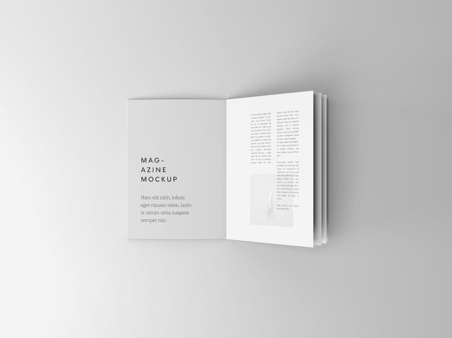 Free Overhead Booklet Mockup