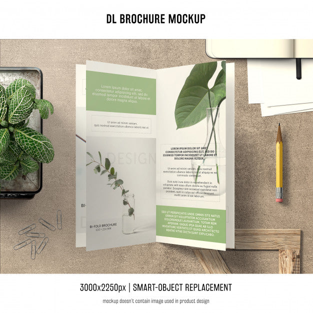 Free Portrait Dl Brochure Mockup Psd