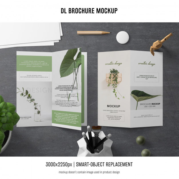 Free Portrait Dl Brochure Mockup Psd