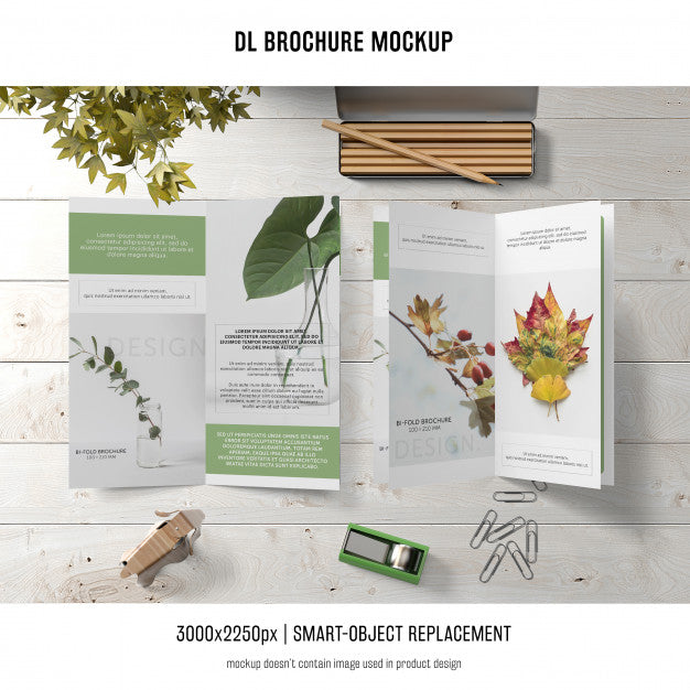 Free Portrait Dl Brochure Mockup Psd