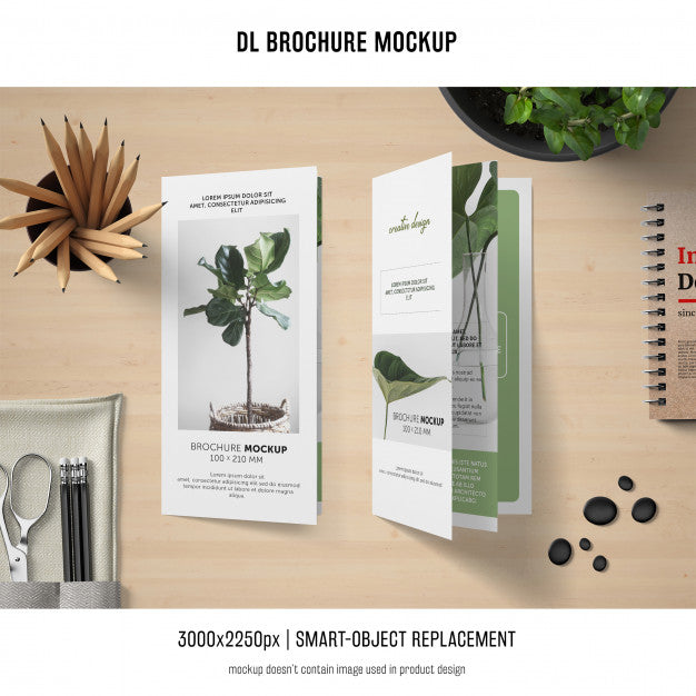 Free Portrait Dl Brochure Mockup Psd