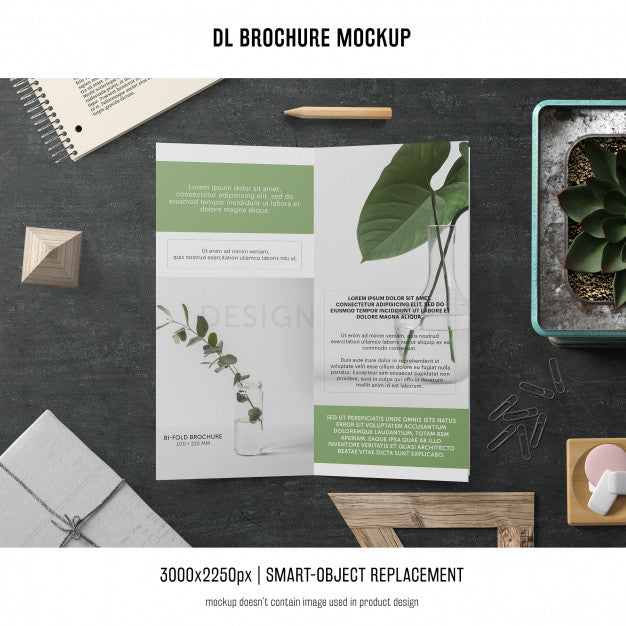 Free Portrait Dl Brochure Mockup Psd