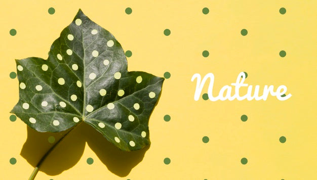 Free Realistic Plant With Artistic Draw Mock-Up Psd