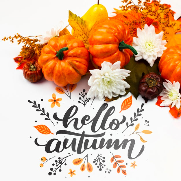 Free Top View Arrangement With Flowers On White Background Psd