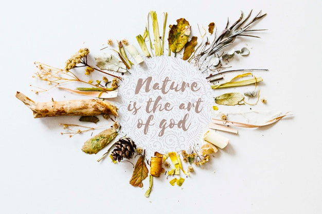 Free Top View Assortment Of Plants Concept Psd