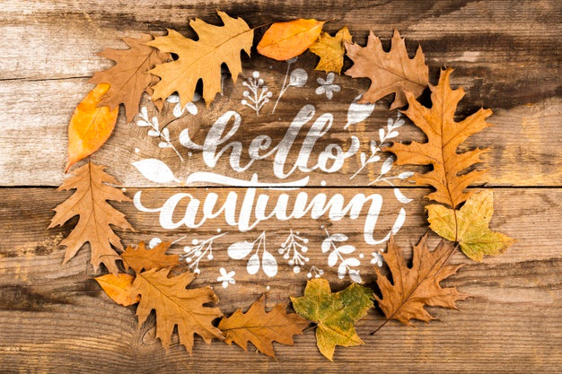 Free Top View Circular Frame With Colourful Leaves Psd