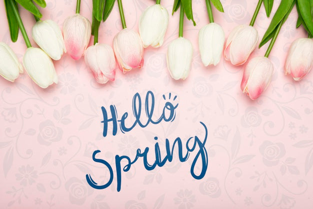 Free Top View Of Assortment Of Spring Tulips Psd