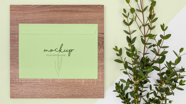 Free Top View Plant, Stationery And Wood Psd