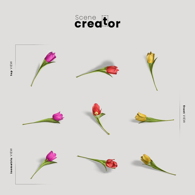 Free Tulip Flowers View Of Spring Scene Creator Psd