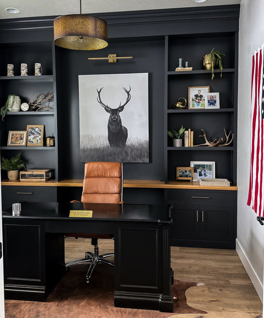 16 Luxe Masculine Office Ideas