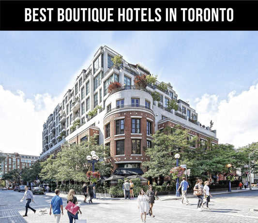 20+ Best Boutique Hotels in Toronto in 2024 (Check Today's Price!)