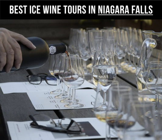 6 Best Ice Wine Tours in Niagara Falls, Canada (2024)