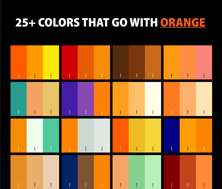 25+ Best Colors That Go With Orange (Color Palettes) – CreativeBooster