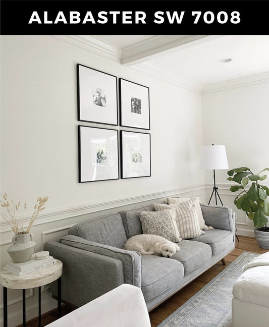 5 Awesome Ways to Use Sherwin Williams' Alabaster White in Living Room (with Images)