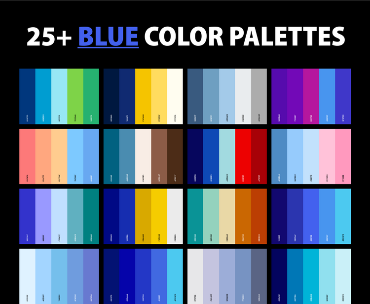27 Best Blue Color Palettes with Names & Hex Codes – CreativeBooster