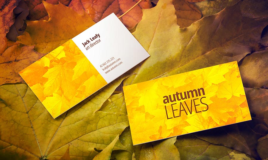 Free Autumn Leaves Business Card Mock-Up