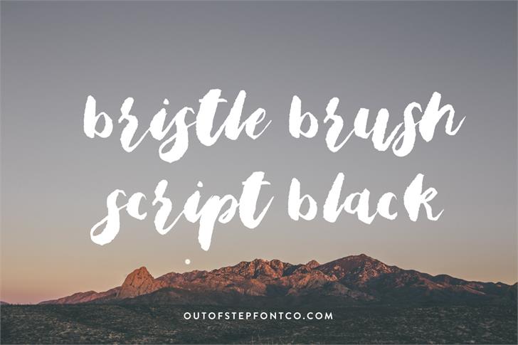 Free Bristle Brush Script Black Font