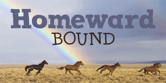 Free DK Homeward Bound II Font
