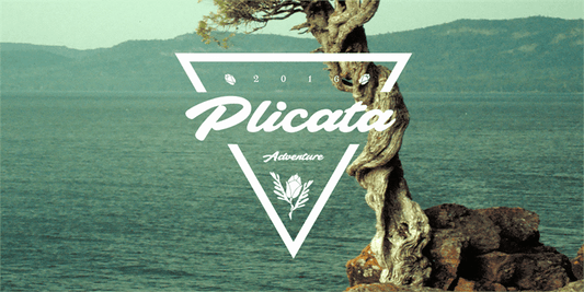 Free Plicata Font