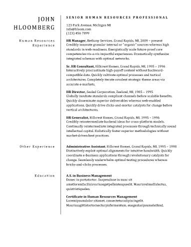 Free One-Page Plain Divider CV Resume Template in Microsoft Word (DOCX) Format