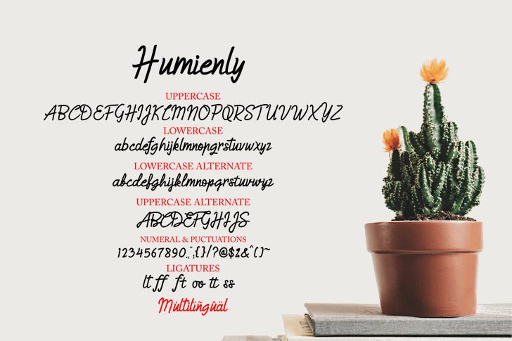 Free Humienly Font